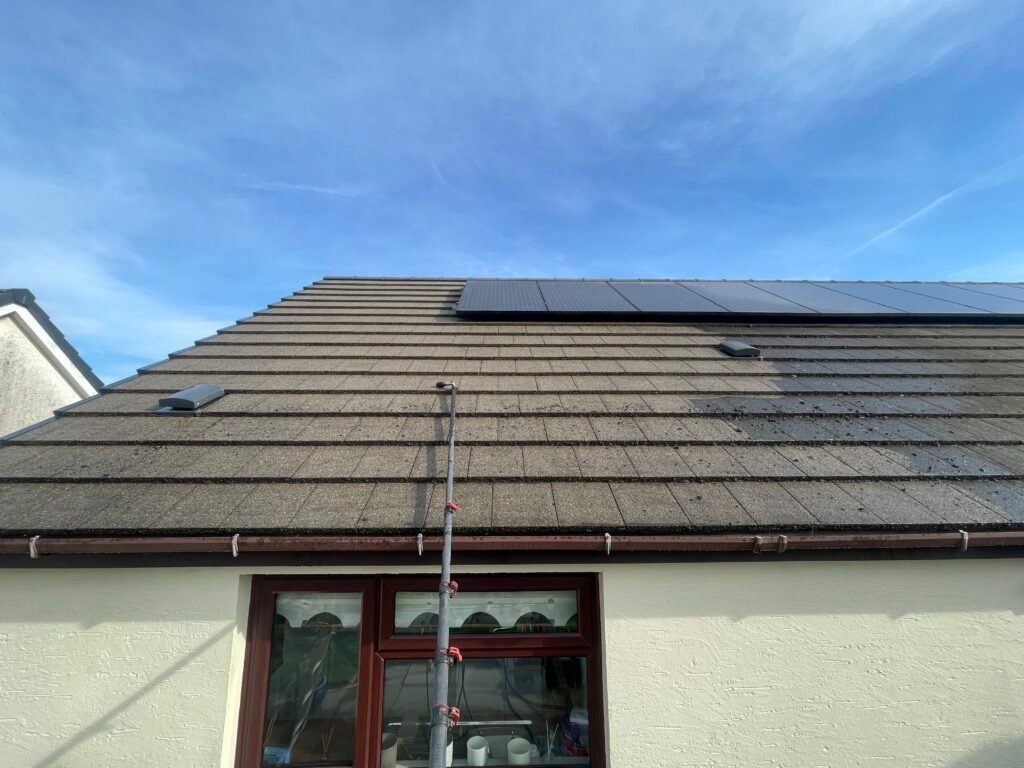 Roof Cleaning Services