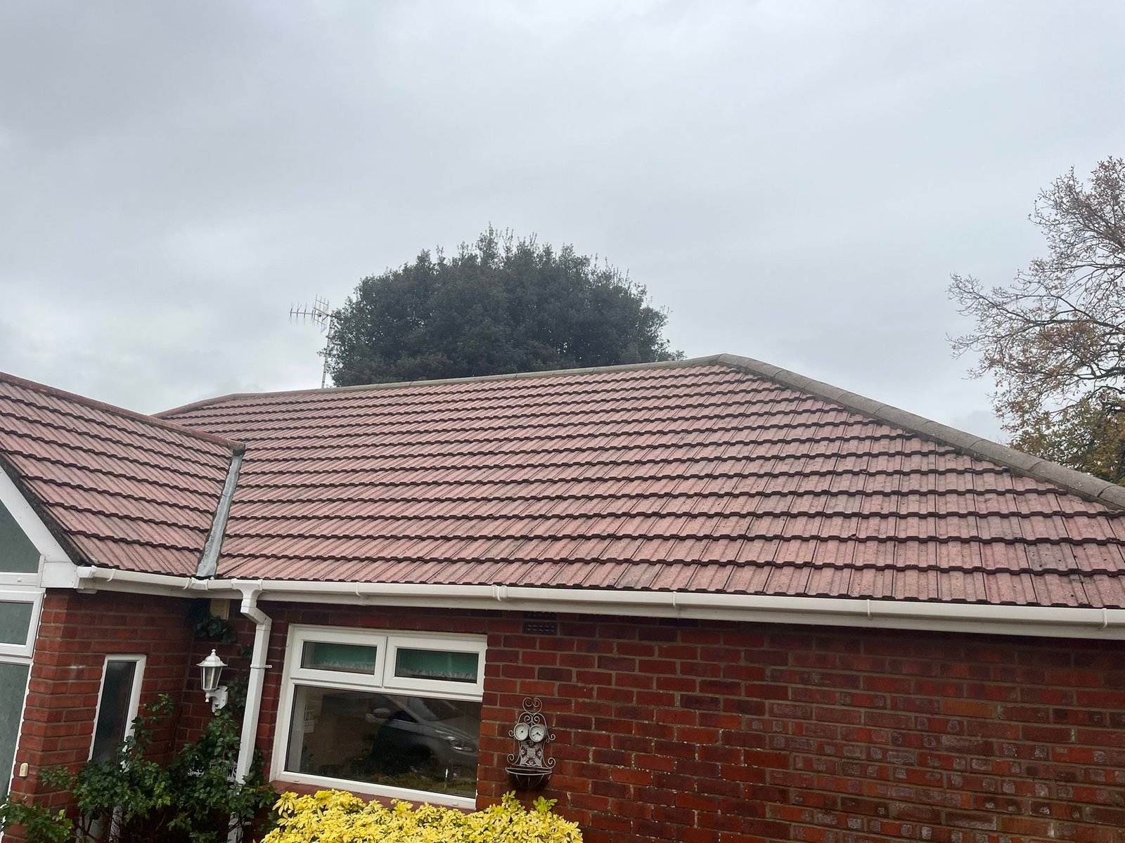 Expert moss removal and roof cleaning in Waterlooville